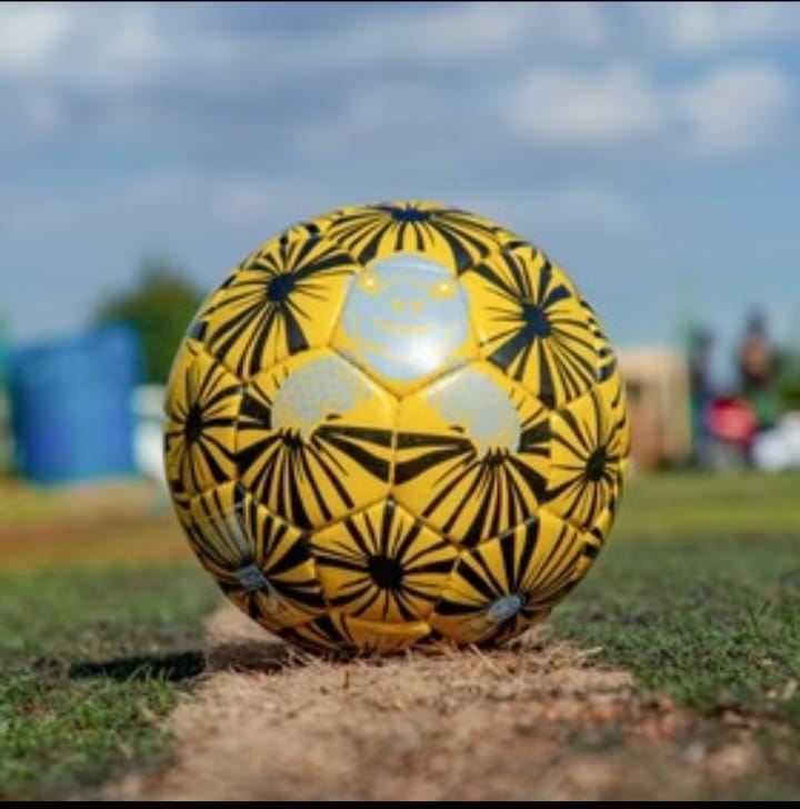Football Size 5 Animal ball 